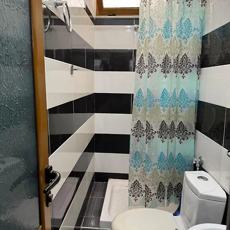 Apartment Elisabeta *