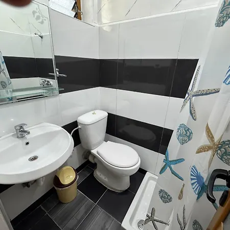 Apartment Elisabeta