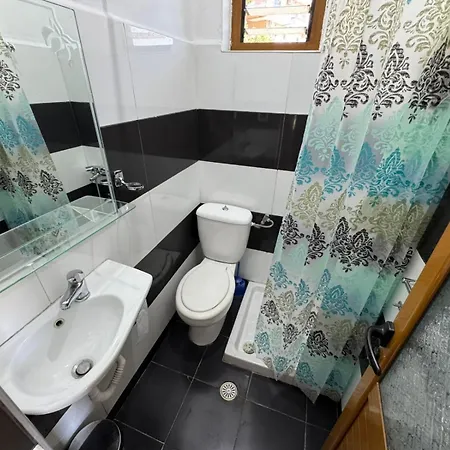 Apartment Elisabeta *
