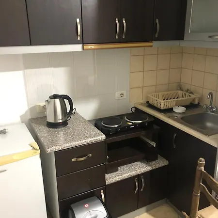 Elisabeta Apartment *