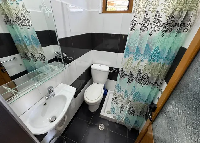 Apartament Elisabeta *