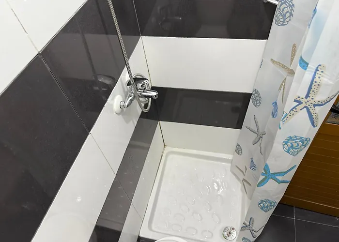 Elisabeta Apartament *